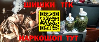 индика Жуковский