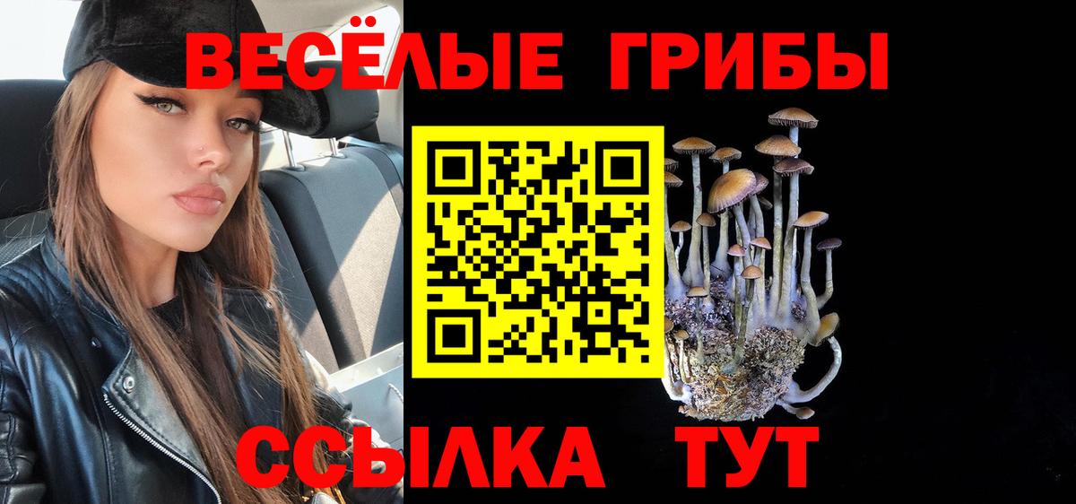 Псилоцибиновые грибы GOLDEN TEACHER Ливны